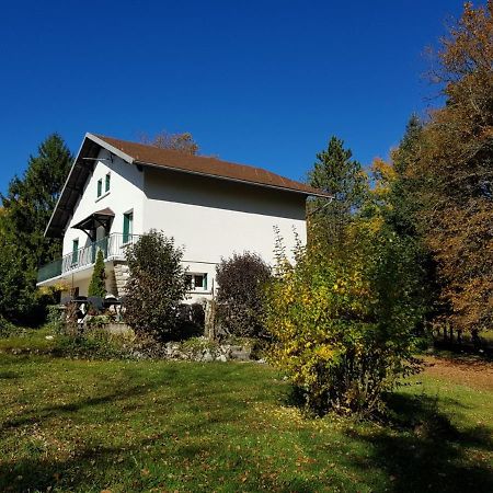 Gite Grande Capacite Au Calme Circuit Cascades Du Herisson Bonlieu Екстериор снимка