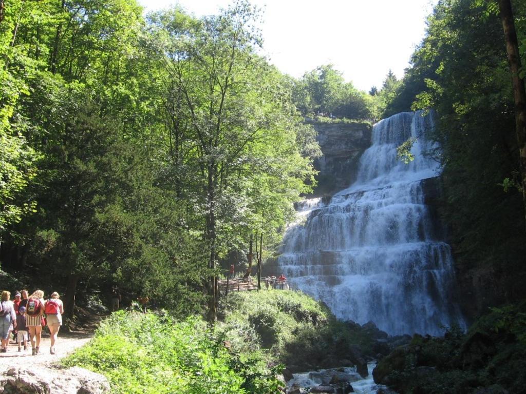 Gite Grande Capacite Au Calme Circuit Cascades Du Herisson Bonlieu Екстериор снимка