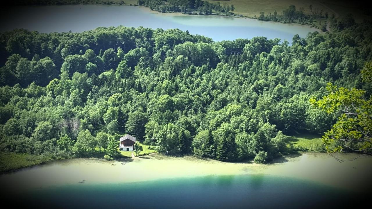 Gite Grande Capacite Au Calme Circuit Cascades Du Herisson Bonlieu Екстериор снимка